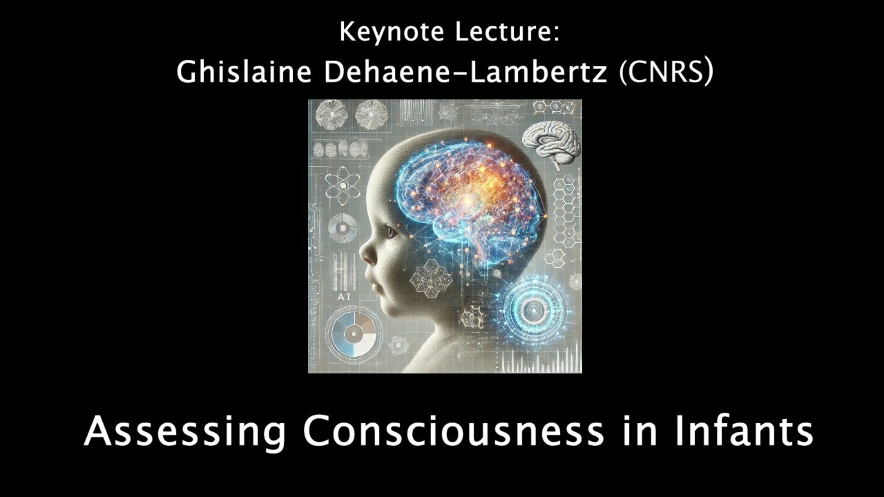 Ghislaine Dehaene-Lambertz: Assessing consciousness in Infants  | NYU Infant Consciousness Conferenc