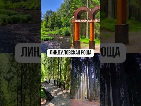 Экотропы Ленинградской области #экотропа #маршрут #прогулка #путешествие #travel #ленобласть