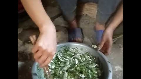 Làm món cá nướng cuốn lá chuối  và cái kết ngon hết nấc "pa pho của dân tộc thái"