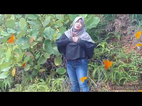 Dj-Berharap kau setia-Dj-mix