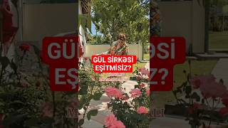 Güldən Sirkə Hazırlandığını Bilirdiz? Əndvar Əbələ Ivideolar