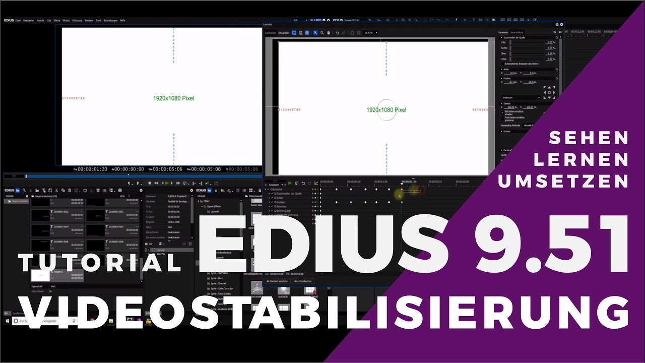 EDIUS - Videostabilisierung, verstehen und anwenden.