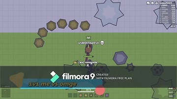 1v1 and insta I MooMoo io