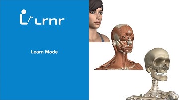 How to Study Anatomy and Physiology using OpenStax Adaptive Classroom powered by LRNR