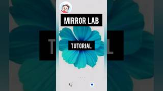 Android App tutorial|Mirror Lab tutorial |Digital art#shorts screenshot 4