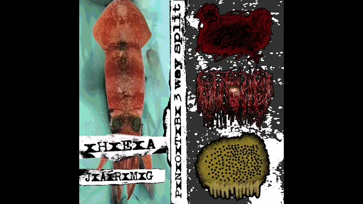 PxNxOxTxBx - xHxExAx /JxAxRxMxGx /FOURNIER "4 ways split 2025"