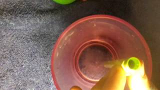 How to Turn a Mechanical Pencil Into a Water Gun!