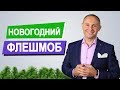 НОВОГОДНИЙ ФЛЕШМОБ | как найти мужчину в новом году