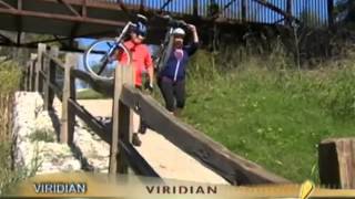 Viridian Overview