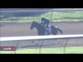 Oaks Hopeful Carina Mia Gallops on Sunday, April 24, at Churchill Downs Thumbnail