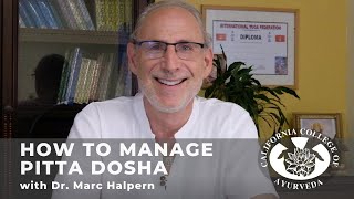 Pitta | How to Manage the Ayurvedic Doshas with Dr. Marc Halpern