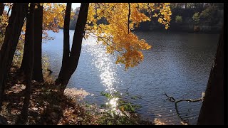 Fall Color at the Gorge Metro Park, Akron, OH