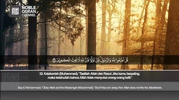 Surah Ali 'Imran (23-37) - Talal Al Hasan | سورة آل عمران - طلال الحسن