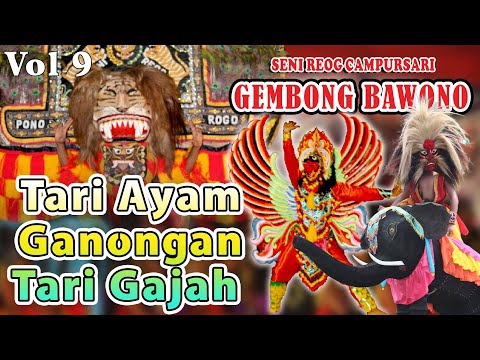 Gembong Bawono Vol 9 - Tari Gajah, Tari Ayam dan Ganongan \\ Kesenian Reog