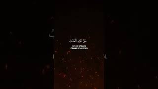 Peshawa Al Kurdi | Surah Hajj Vers 18 #Islam #quran