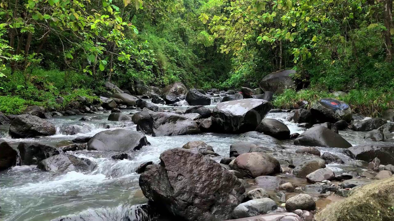 Relax to river sound under moonlit forest sky letting deeper deep sleep strengthen healing nightly