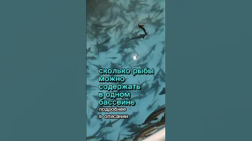 Сколько рыбы можно содержать в одном бассейне УЗВ #рыба #узв
