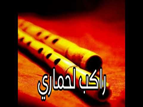 راكب لحماري