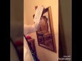امي امي جعلني قبلها روح و فدا نجومي