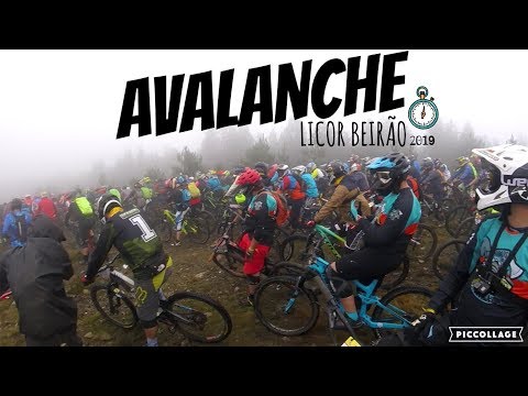 Avalanche Licor Beirão 2019 | Cube Portugal