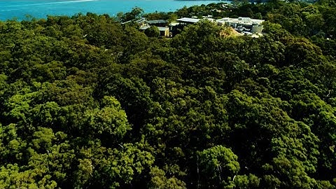 How to reduce your environmental footprint: Leave the car at home