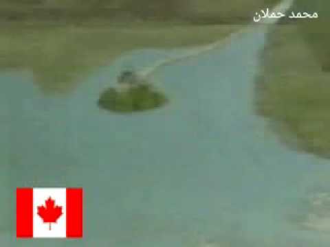 هل تعلم أن أعلى مد في العالم هو أضخم ارتفاع وهبوط