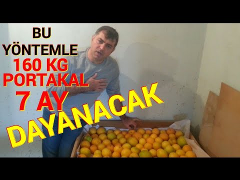 Yatak Portakalı