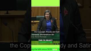 Copyright Amendment Bill_ National's Support Revealed