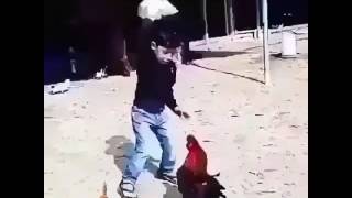 Horuz Ile Halay Böyle Olur 😂😂