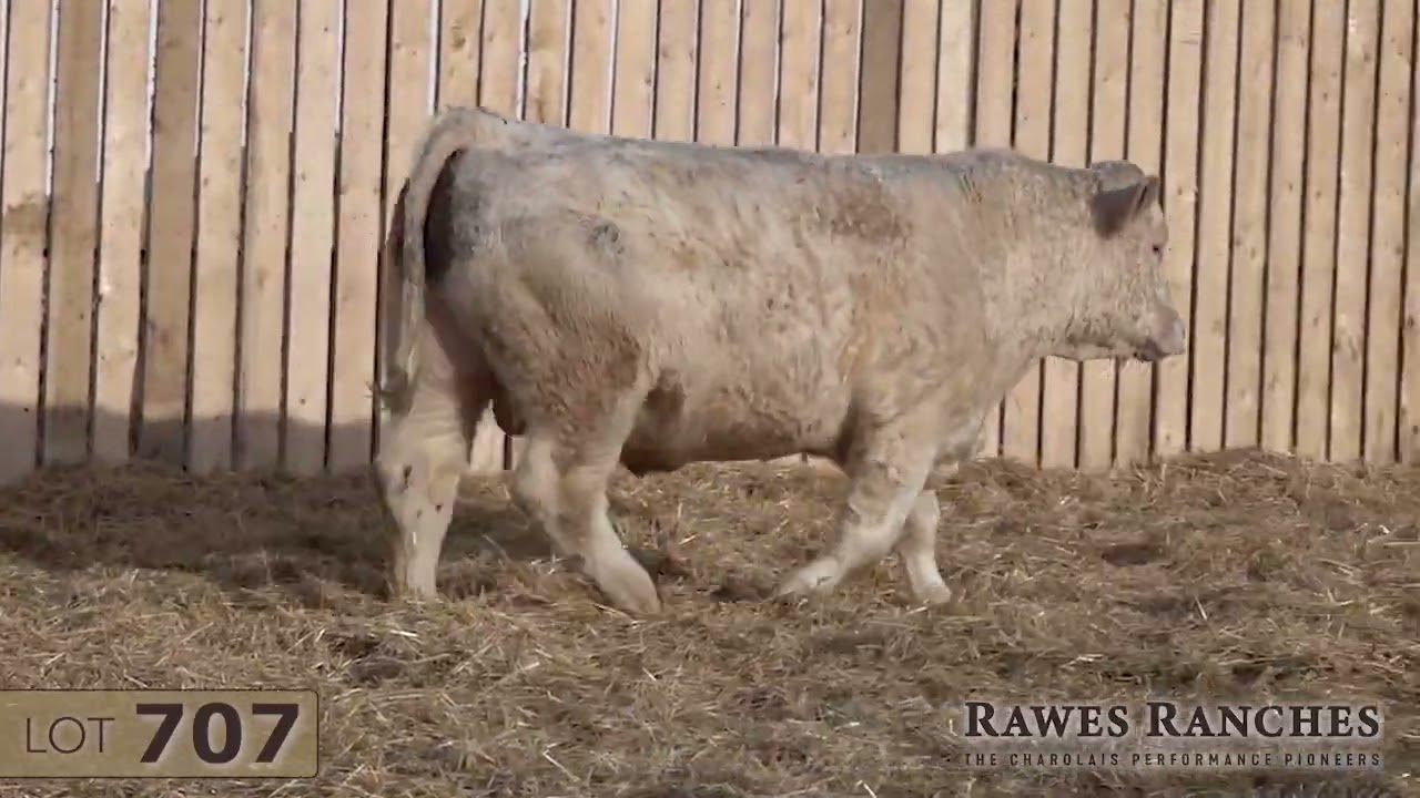 707 - RAWES VALIENTE 707K