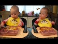 Twins try lasagna!