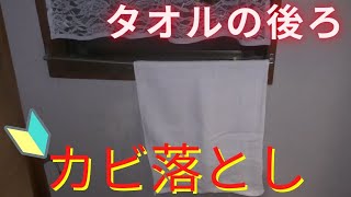 【初心者でもここまでできる】カビ落とし【タオル裏の壁】