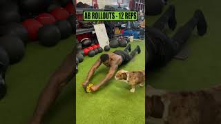 Core Crushing Circuit to Build Abs & Obliques ??? shorts