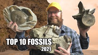 Top 10 fossil finds of 2021: whale skulls, dolphin teeth, giant crabs, plesiosaurs and more!