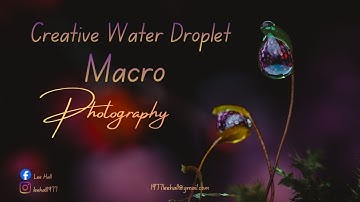 Creative water droplet macro photography using moss.