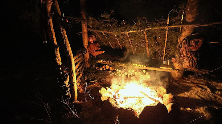 No tent, No sleeping bag - Extreme Winter Camping (Bush Craft Shelter)