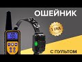 Как работает электронный ОШЕЙНИК для собак ОБЗОР И ТЕСТ