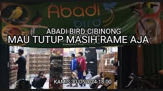 Banjiiir Stok sampai Sore menjelang tutup Kamis 30/05/2024#abadibirdcibinong fullstok komplit