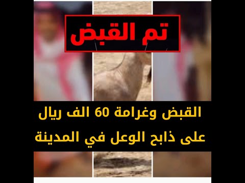 تم القبض شرطة منطقة المدينة ضبط شخصين يتباهيان بتصوير الوعل بعد قيامهما بذبحه وتوثيق ذلك
