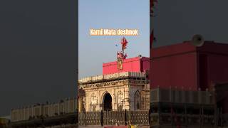 Divya Darshan deshnok Dham🙏🚩#karnimaa#deshnokmandir #youtubeshorts#viral#trending