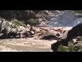 Pistol Creek logjam on the Middle Fork Salmon River