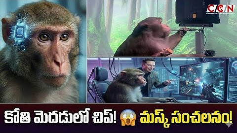 How Elon Musk’s Brain Chip Allows a Monkey to Play Pong Telepathically | Monkey’s Brain Chip! 😱 |...
