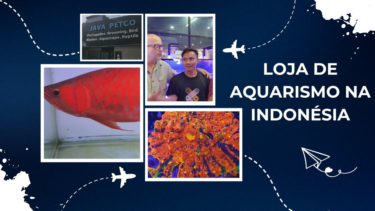 Visitamos uma loja de aquarismo marinho incrível na Indonésia