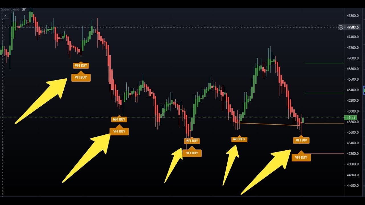 dead cat bounce bitcoin