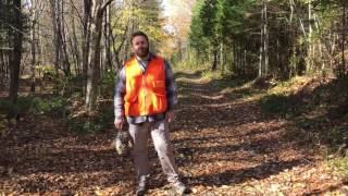 Comment Éviscérer Une Gélinotte Huppée Perdrix