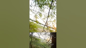 FPV Crashed in tree | #drone #fpv #fpvdrone #crash #fpvcrash