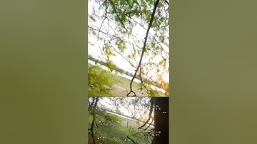 FPV Crashed in tree | #drone #fpv #fpvdrone #crash #fpvcrash
