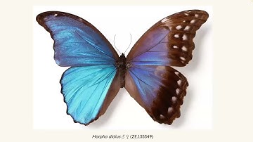 ECN 2025: Contributed Talks 1