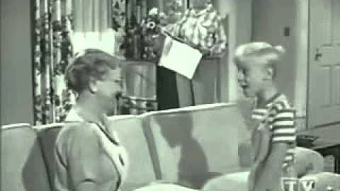 Dennis The Menace & Mr. Wilson