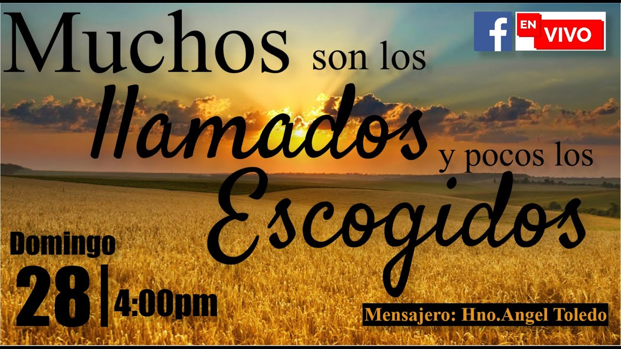 PALABRA DE DIOS: MUCHOS SON LOS LLAMADOS Y POCOS LOS ESCOGIDOS - YouTube